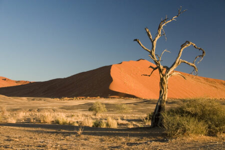 Sossusvlei Wüste Namibia